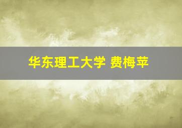 华东理工大学 费梅苹